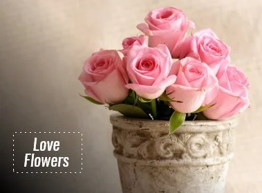 Love Flower Delivery