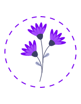 Purple Flowers