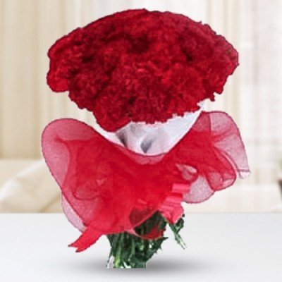 Bunch of 15 Red Carnations in nice Red Net Sweet Beauty