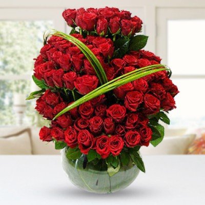 Red Beauty Red Beauty