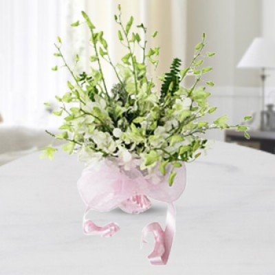 Bunch of 10 White Orchids in nice wrapping Freshness Of White