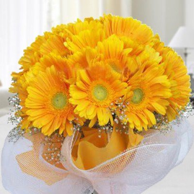 Bunch of 10 Yellow Gerberas in white net wrapping Stay Blessed