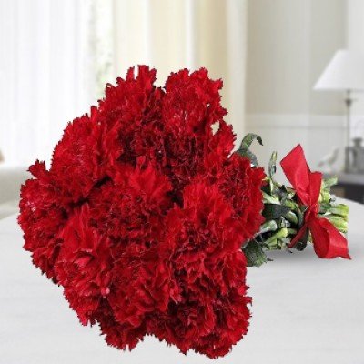 Bunch of 10 red Carnations in nice wrapping Beauty of Redness