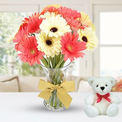 Bunch of 10 stems of Pink and White Gerberas in nice wrapping along with 6 Inch Teddy Bear Pink & White Gerberas with Teddy