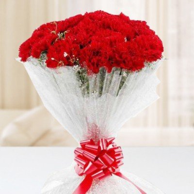 Bunch of 10 Red Carnations One And Only