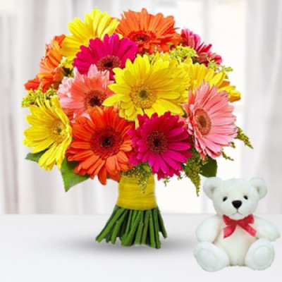 Bunch with 10 Mixed Gerberas with Green & Fillers with 6 Inches Teddy Bear Mixed Gerberas & Teddy