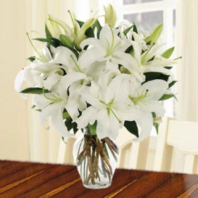 Bouquet of 5 stems of White Lilies in nice wrapping Magic Of White
