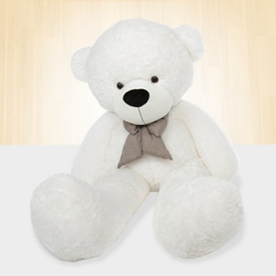 White Medium Size Teddy Bear Medium Teddy Bear
