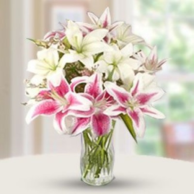 Eternal Beauty Lilies