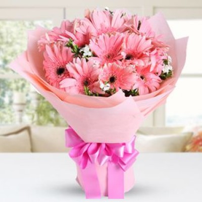 Bunch of 12 pink Gerberas with fillers in nice wrapping Pinky love