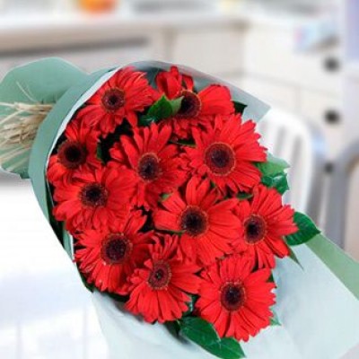 Flat Bunch of 12 Red Gerberas with greens in nice wrapping (as image) Gerbera bouquet