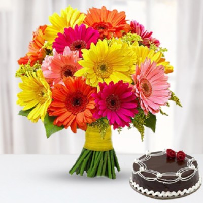 Gerbera Love