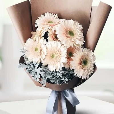 Peachy Gerberas