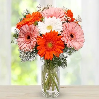 3 White gerberas, 3 Pink Gerberas & 3 Orange Gerberas in a Glass Vase Gerberas Trio
