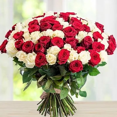 Red and White Roses