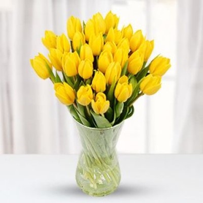 Sunny Tulips
