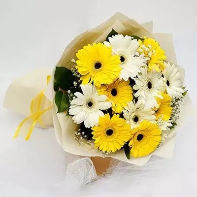 Fentastic Gerberas Fentastic Gerberas