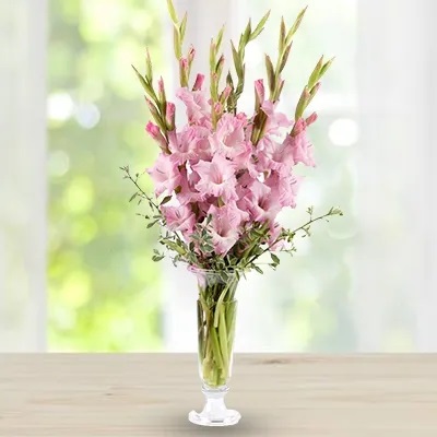 Elegant Gladiola