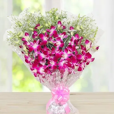 Purple Orchids