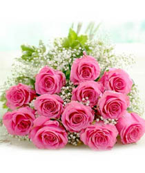 Bunch of 12 pink Roses with fillers and nice wrapping Preety Pink