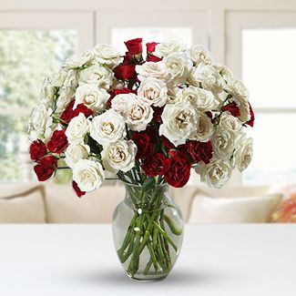 40 Red & White Roses with fillers in a Glass Vase Queens Red