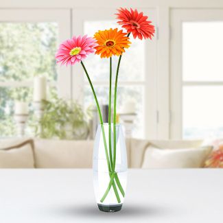 3 Gerberas
