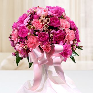 Carnation Love