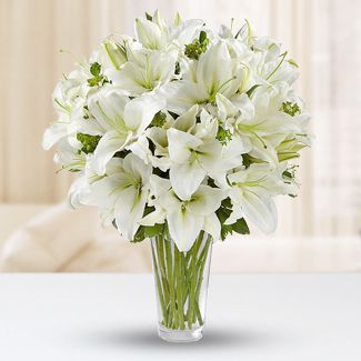 12 Stems White lilies with some green fillers and arranged in a clear glass vase. Pure Expression