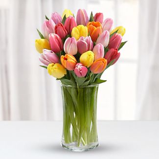 20 stem of assorted color Tulips nicely arranged in a clear glass vase. Assorted Tulips