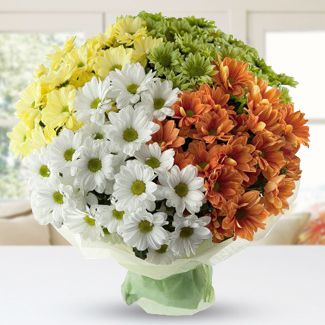 Bunch of 3 stems each of White , Yellow , Green and orange Chrysanthemums in nice wrapping Amazing Daisies