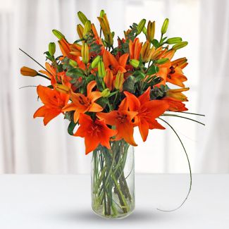 6 stem Stunning Orange Lilies with fillers in a Glass Vase Stunning Orange Lilies