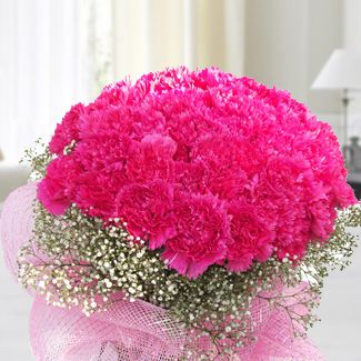50 Pink Carnation with gypsophilia in nice wrapping Pink Carnation Bouquet