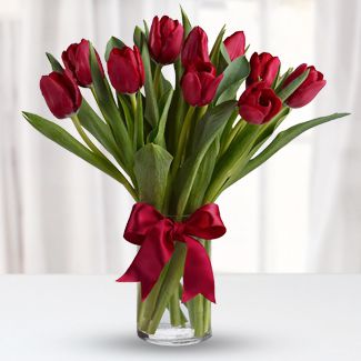 10 Red Tulips in a clear glass vase. Sweet Kiss