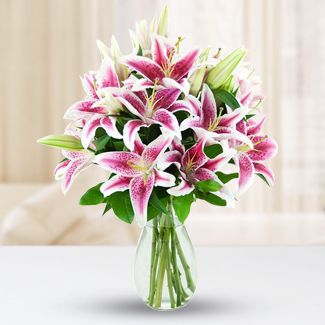 Stargazers Fresh Flower