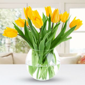 10 Yellow Tulips in a Vase Yellow Tulips