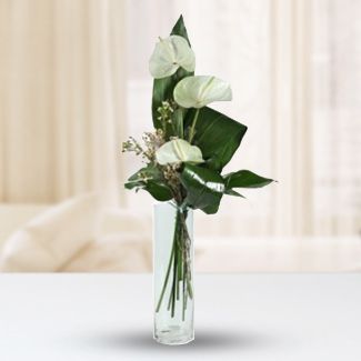 3 white anthurium with fillers in a clear glass vase Peace Anthurium