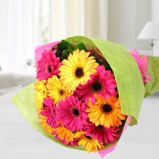 Bouquet of 10 Yellow and 10 pink gerbera nicely wrapped Yellow Pink Gerbera