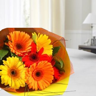 Mixed Gerbera Bouquet