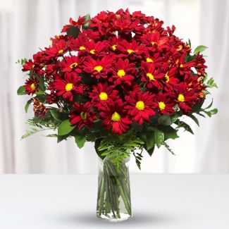 Red Mums