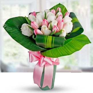 Pink & White Roses