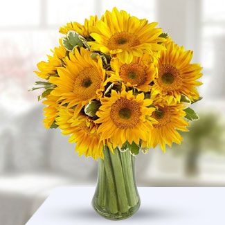 Summer Sunflower 12