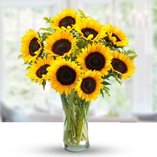 Sunflowers in a Vase