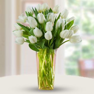 20 White Tulip in a Glass Vase White Beauty