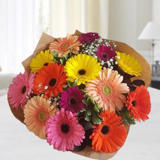 Bunch of 15 Mixed Gerberas with fillers in nice wrapping Bright Gerbera bouquet