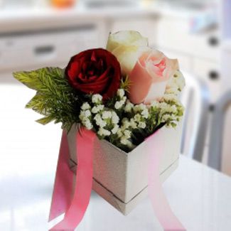 Lovely 3