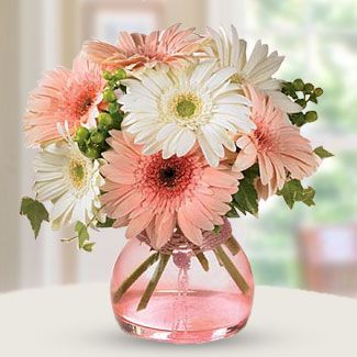 Arrangement of 6 peach and 6 white gerbera. Arranged in a nice clear glass vase. Lovely lady