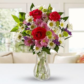 Blooming Roses