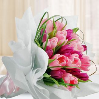 Bunch of 10 Light Pink and 10 Dark Pink Tulips with steel grass in nice wrapping Blooming Tulips