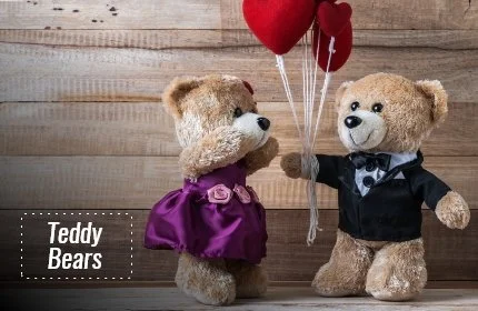 Teddy Delivery